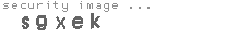 security image