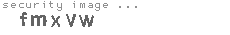 security image