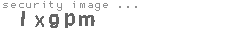 security image
