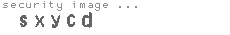 security image
