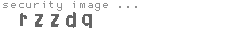 security image