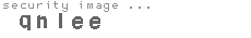security image