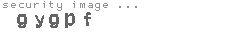 security image