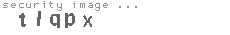 security image