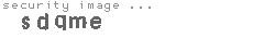 security image