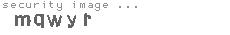 security image