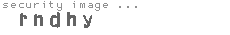 security image