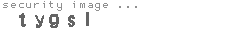 security image