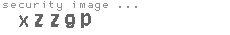 security image