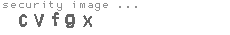 security image
