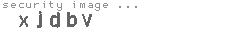 security image