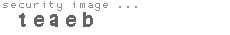 security image
