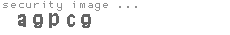 security image