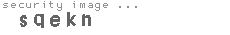 security image