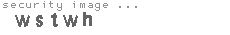 security image