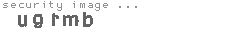 security image