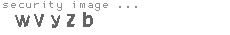 security image