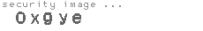 security image