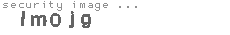 security image