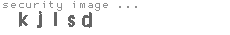 security image