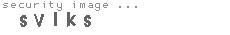 security image