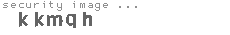 security image