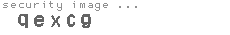 security image