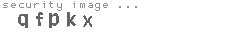 security image