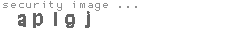 security image