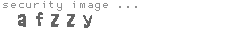 security image