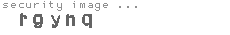 security image