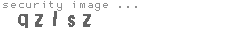security image