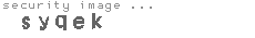 security image