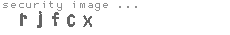 security image