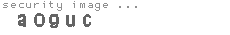 security image