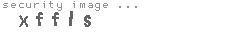 security image
