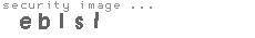 security image