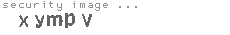 security image