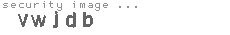 security image
