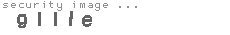 security image