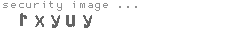 security image