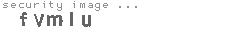 security image