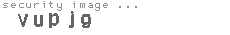 security image
