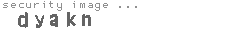 security image