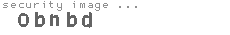 security image