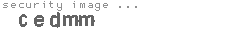 security image