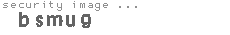 security image