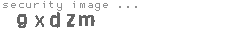 security image