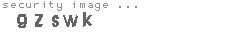 security image