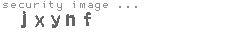 security image